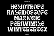 TAN - NIMBUS, a Font by TanType (Thumbnail 5 of 20)