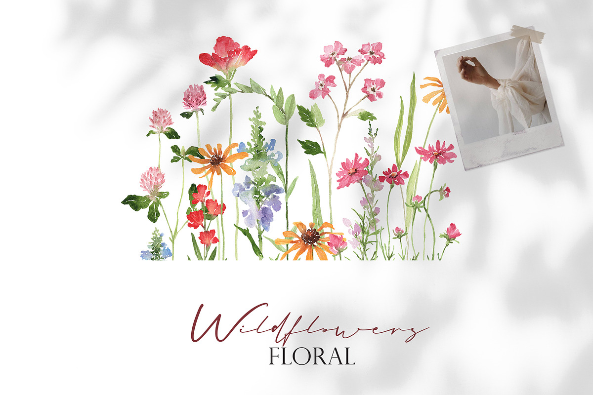 Dreaming Watercolor WILDFLOWER, a Decorative Illustration by Beigetime (Photo 7 of 14)