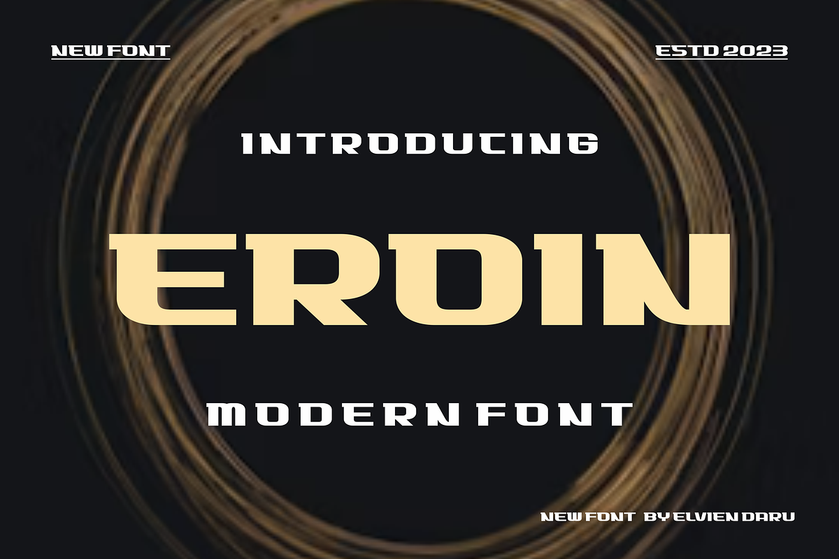 Eroin - Modern Font, a Sans Serif Font by lelevien (Photo 1 of 4)