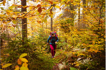 The woman hiker enjoys traveling in, a Nature Photo by oksix