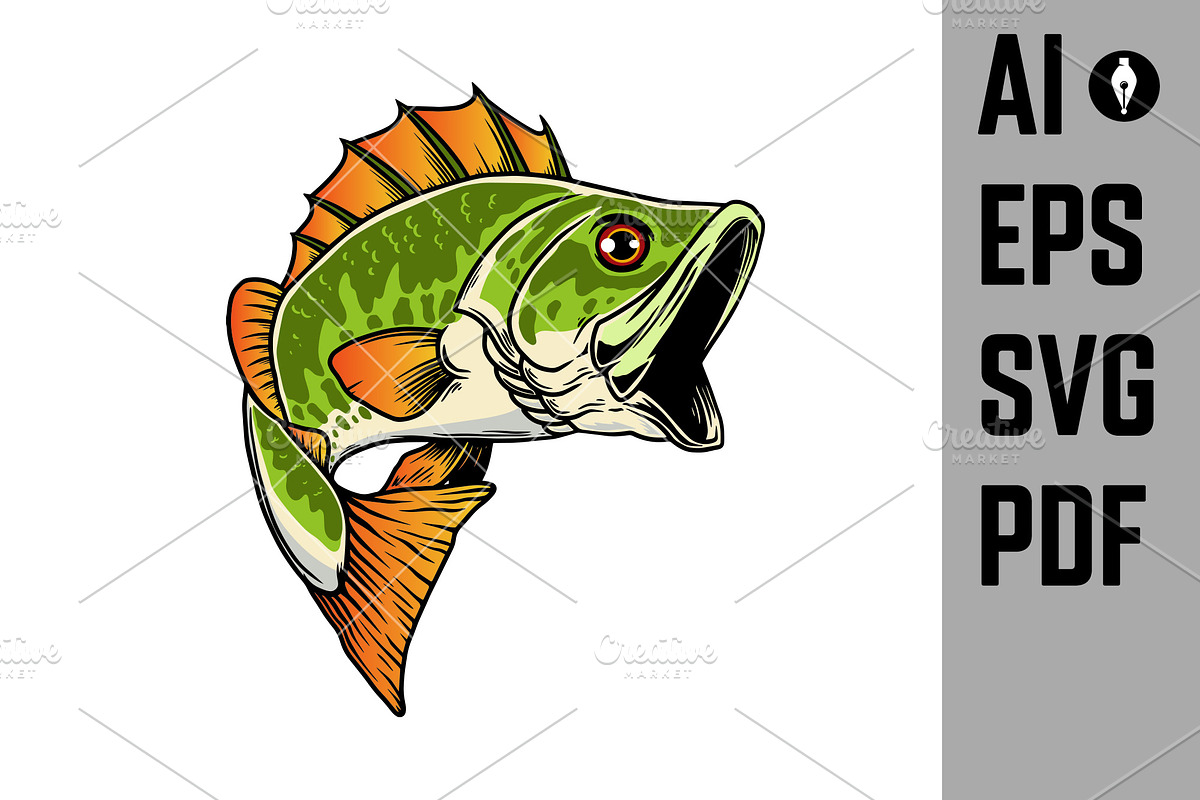Illustration of bass fish. Big perch, an Animal Illustration by ...