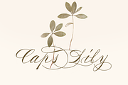 Alysond - Spencerian Script, a Script Font by Typia Nesia (Thumbnail 2 of 14)