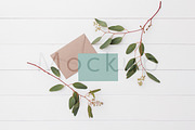 5x7 Invite Mockup - Eucalyptus 4, a Product Mockup by ILLONA GRAPHICS (Thumbnail 2 of 5)