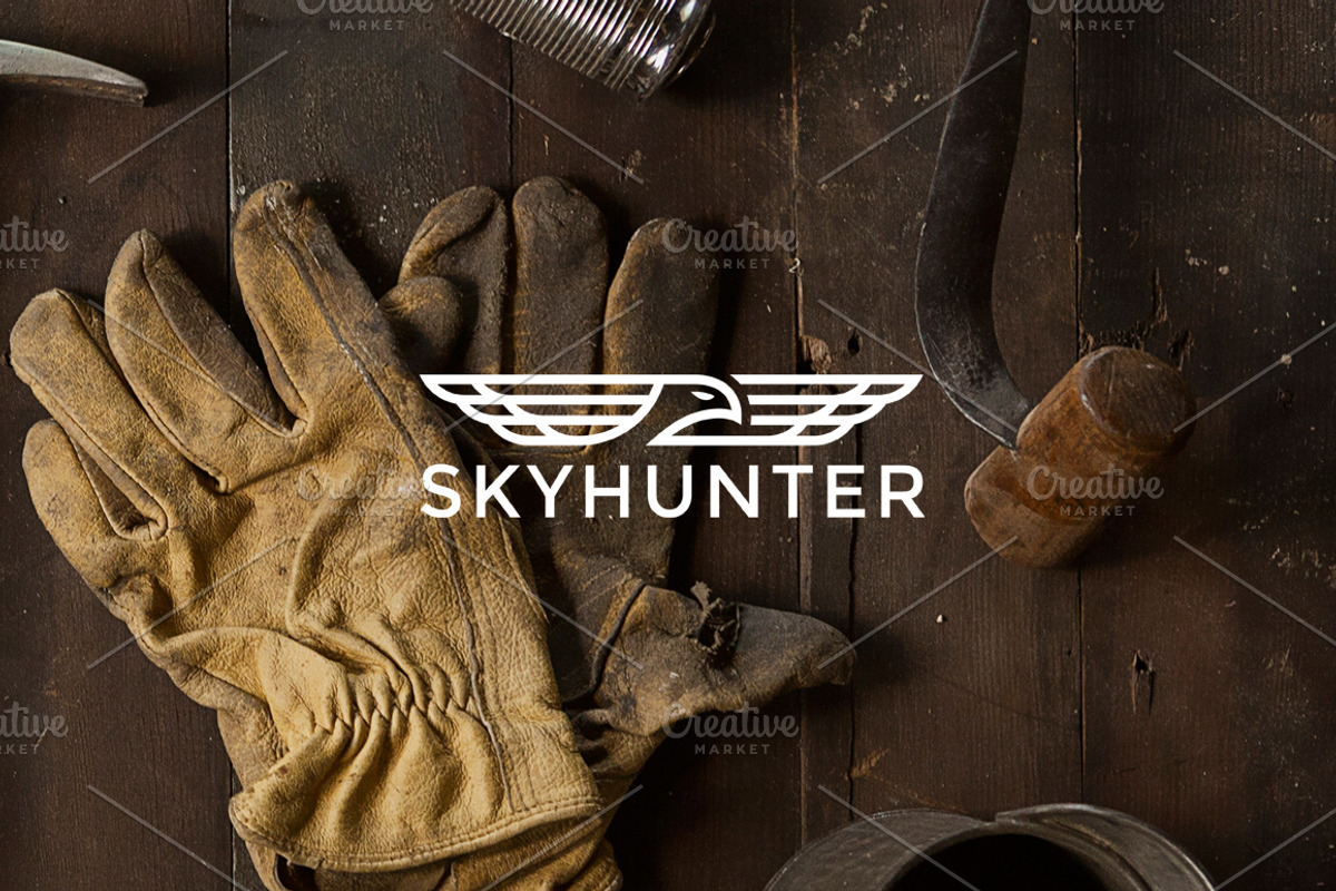 Skyhunter Logo Template, a Branding & Logo Template by pne-design (Photo 1 of 2)
