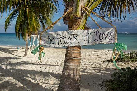 Beach wedding gazebo containing wedding, wedding decor, and beach wedding preview 6