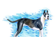 Watercolor Dogs Mega Big Bundle, an Illustration by Dneprstock (Thumbnail 36 of 60)