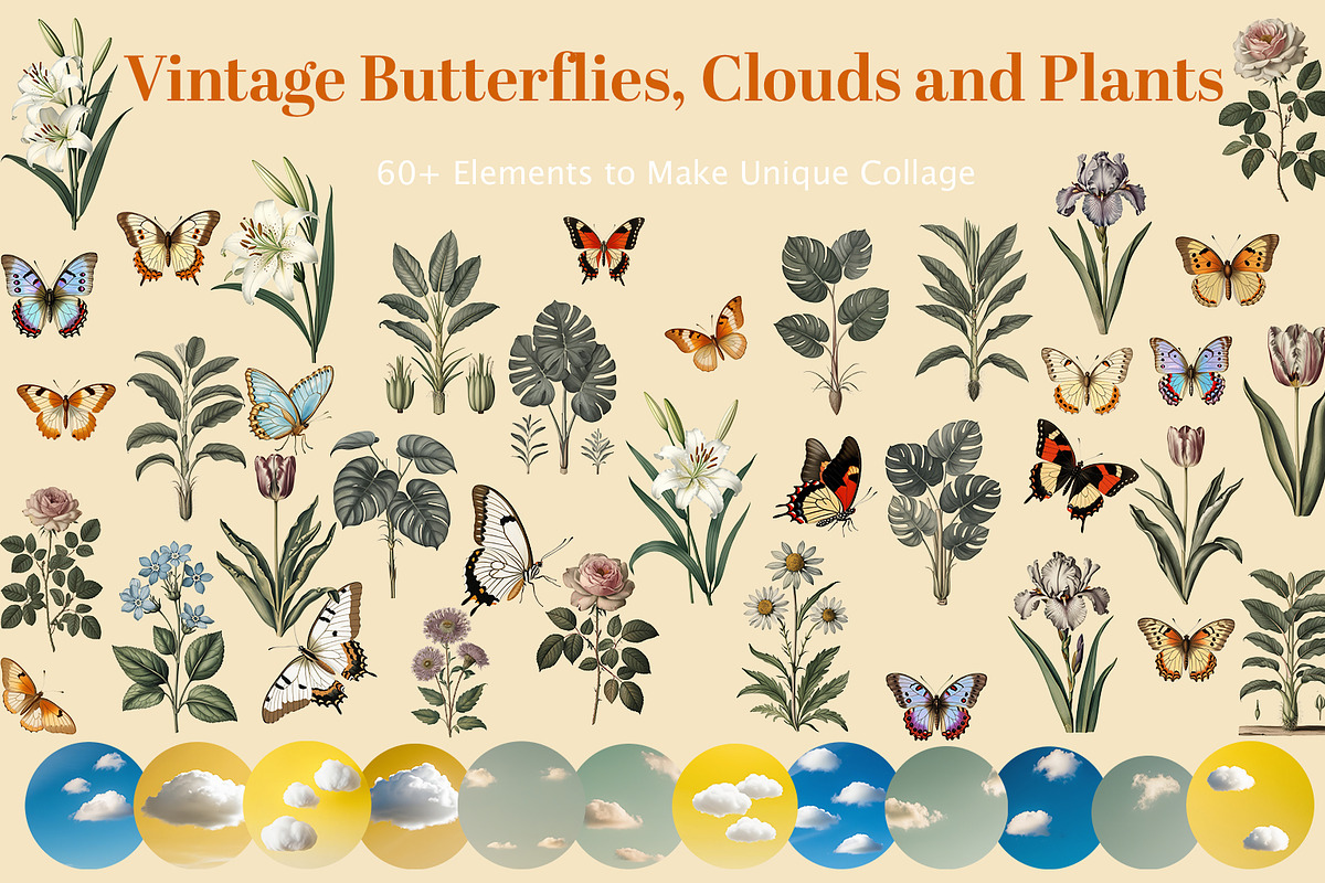 Aristocratic Vintage Collection, an Animal Illustration by Flo Sacred Art (Photo 9 of 10)