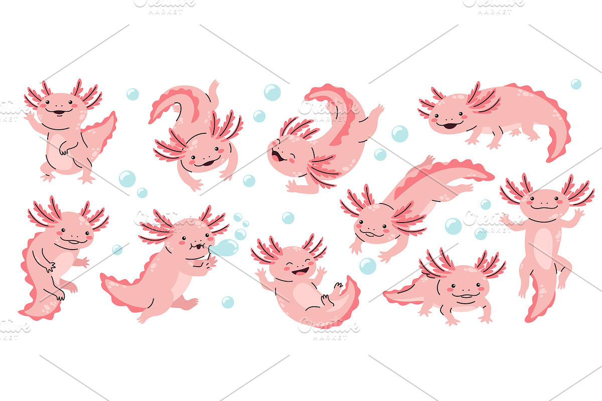 Cartoon baby axolotl. Cute pink, an Animal Illustration by winwin.art