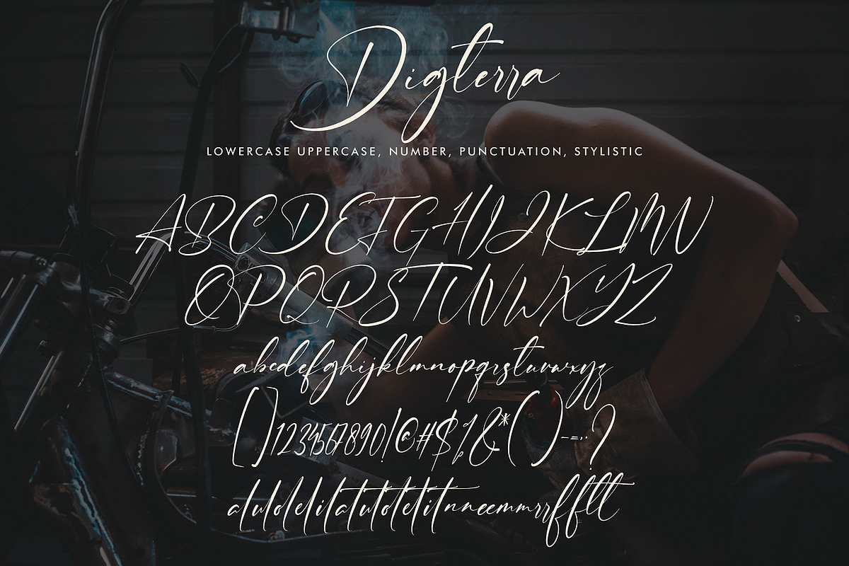 Digterra, a Script Font by pineungtype (Photo 6 of 7)