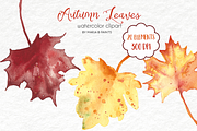 Watercolor Clip Art - Fall Leaves, a Seasonal Illustration by Maria B. Paints (Thumbnail 2 of 2)