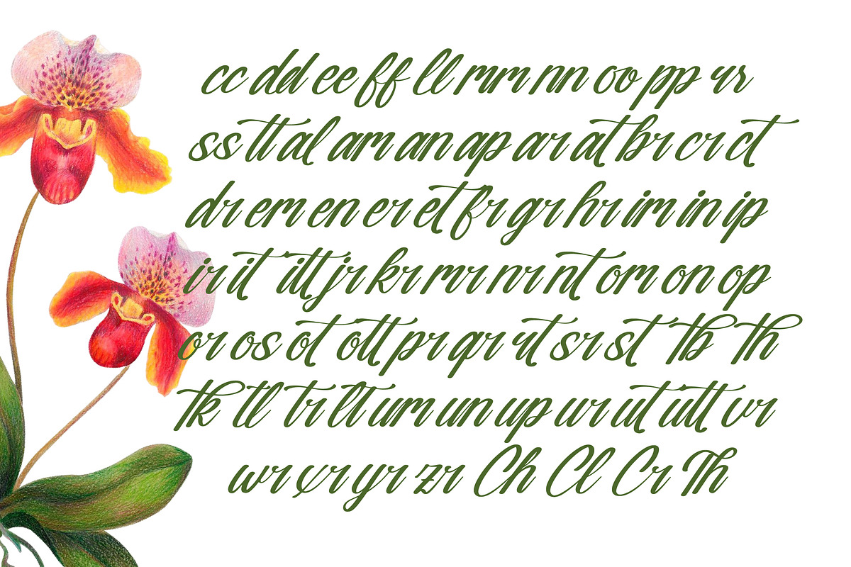 Nostalgic Pictures Calligraphy Font, a Script Font by Letterena Studios Script (Photo 7 of 15)