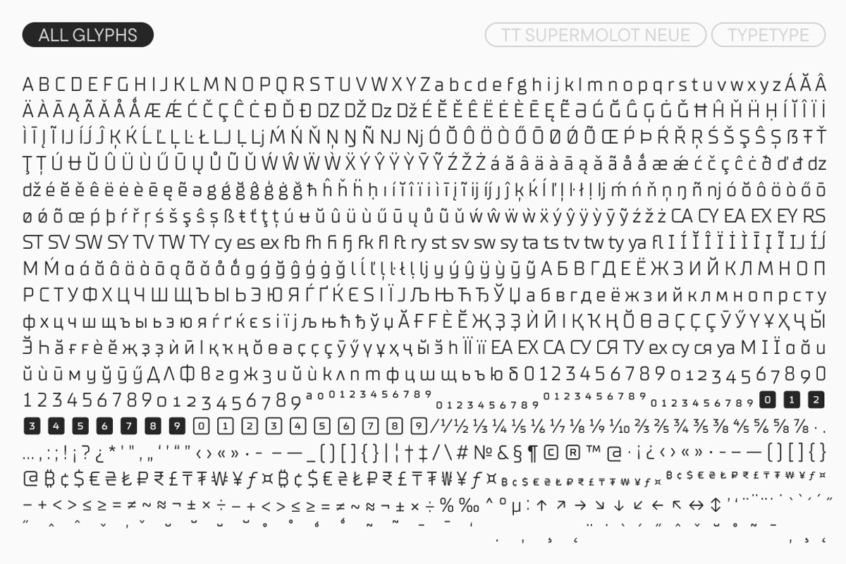 TT Supermolot Neue Basic, a Sans Serif Font by TypeType (Photo 10 of 15)