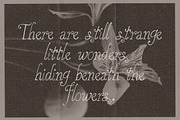 Handwritten Halloween Font Duo, a Handwritten Font by Laras Wonderland (Thumbnail 8 of 14)