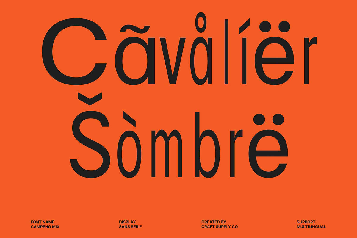 Campeno Mix, a Sans Serif Font by Craft Supply Co. (Photo 7 of 8)