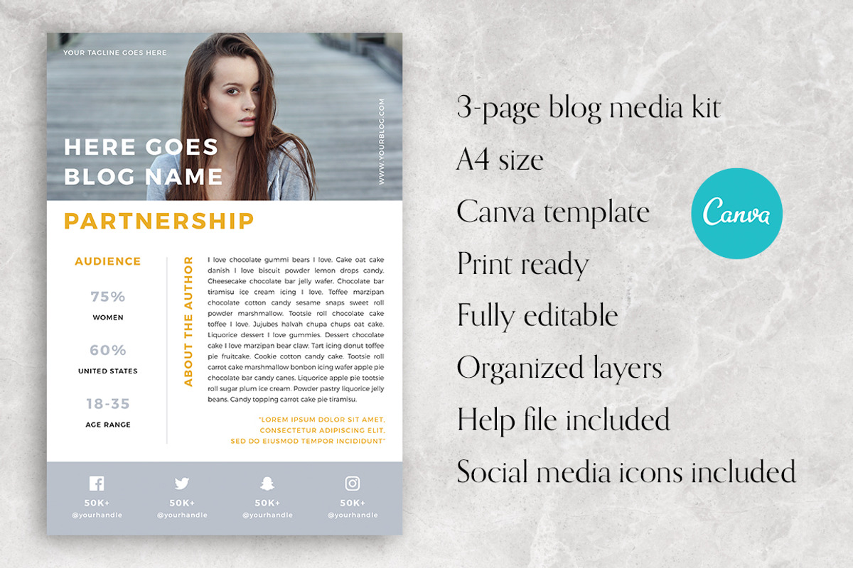CANVA Blog Media Kit · 3 pages, a Resume Template by Eternel Design Studio (Photo 2 of 5)