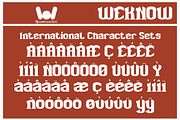 Micro expression font, a Slab Serif Font by weknow (Thumbnail 8 of 8)