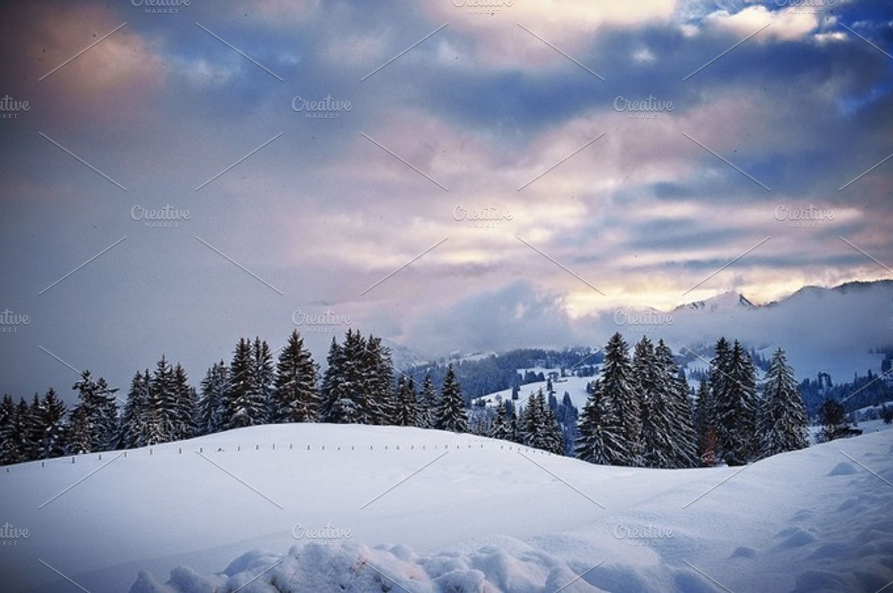 Winter stock photo, a Nature Photo by SarahJ