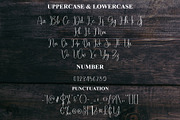 Homing, a Handwritten Font by FreshTypeINK (Thumbnail 7 of 8)