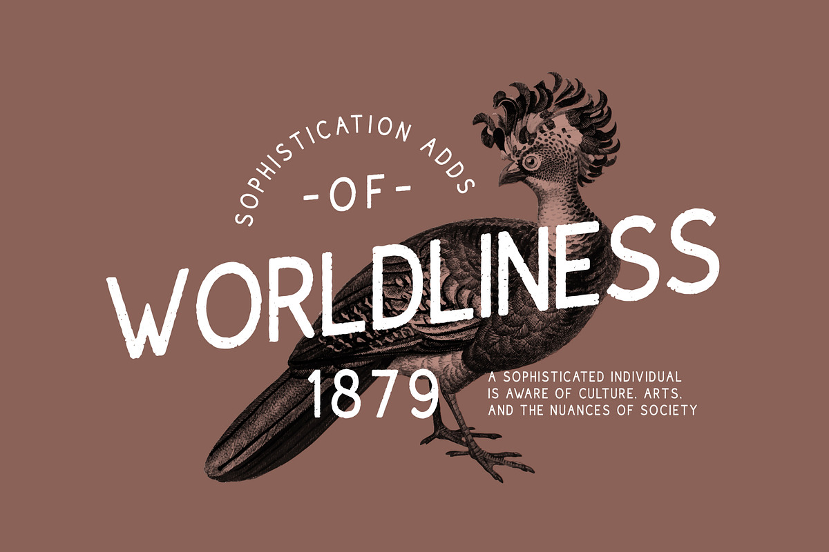 Dustmoor Vintage Adventure Font, a Sans Serif Font by Vadovastd (Photo 3 of 7)