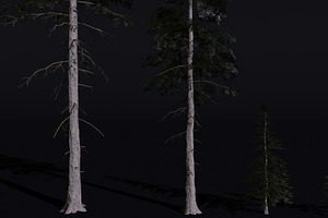The Norway Spruce Tree, a Plants & Tree 3D Model by FuturePastCreatives