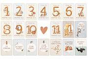 Boho baby Animal watercolor set, an Animal Illustration by TanyaSchuka (Thumbnail 17 of 17)