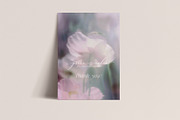 Organic Blurry Floral Backgrounds, a Background Graphic by Grace Noboa Illustrations (Thumbnail 13 of 13)