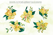 Watercolor yellow orchid blooms, an Illustration by Re_Margarita_Art (Thumbnail 2 of 7)