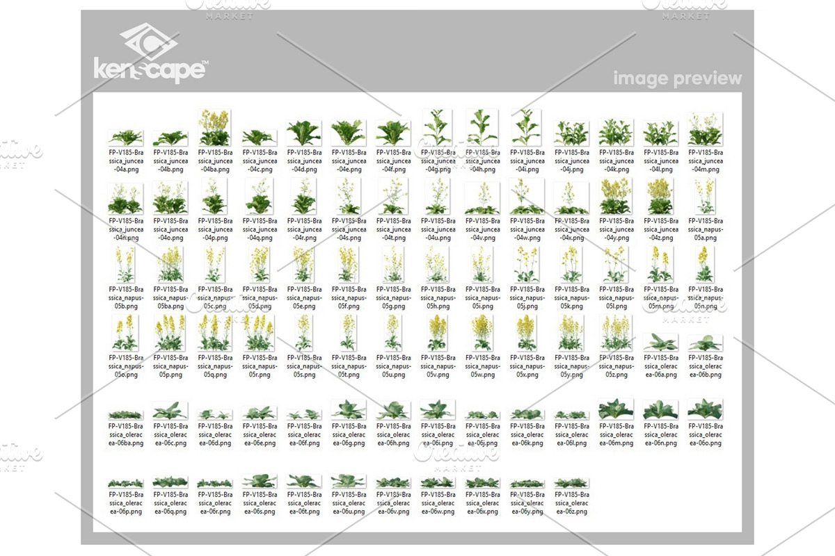 81 Farm Plants Photo Overlays, a Nature Photo by KenScape (Photo 3 of 3)