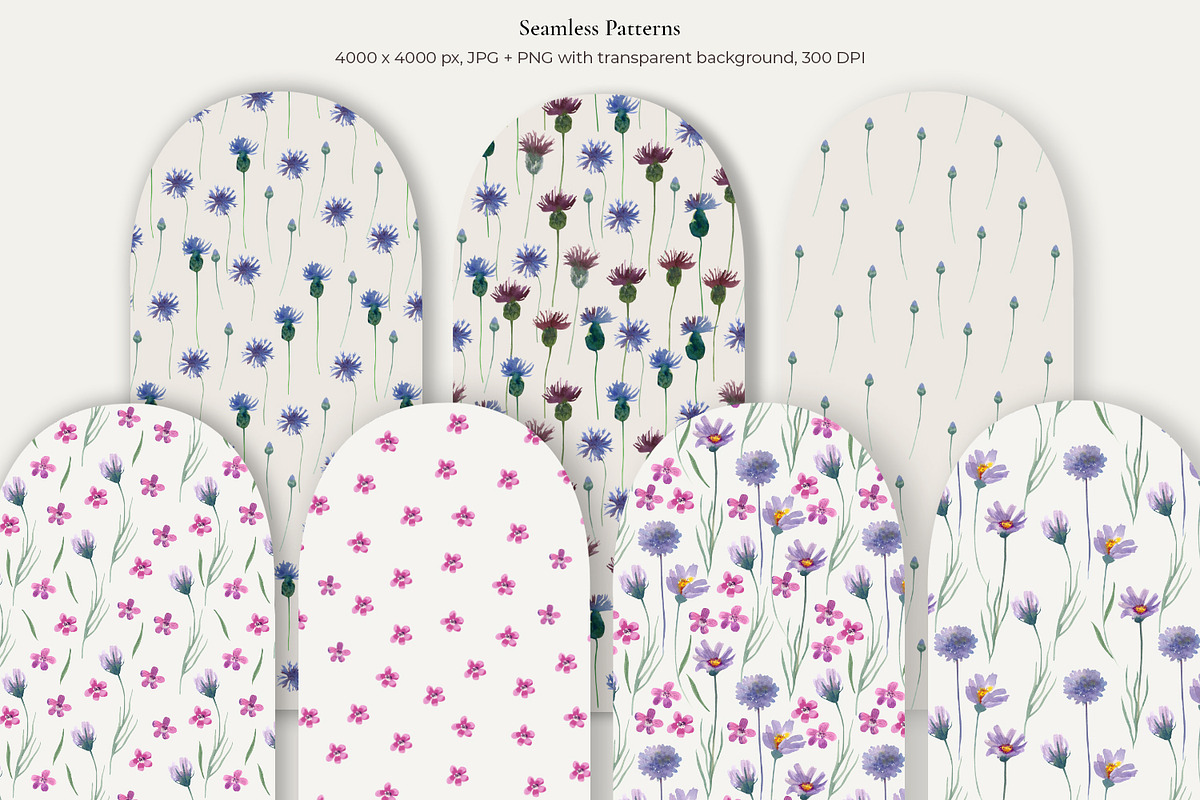 Wildflower Watercolor Collection, a Decorative Illustration by Anna Druzhkova (Photo 8 of 23)