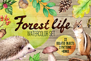 Forest life Watercolor set, an Animal Illustration by Green_leaf_17 (Thumbnail 1 of 4)