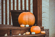 Perfect Instagram Lightroom Presets, an Action Add-On by I & M Lightroom Presets (Thumbnail 4 of 15)