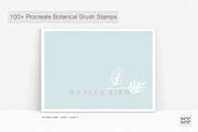 100+ Botanical Procreate Brush Stamp, a Brush Add-On by CC CREATIVE CO (Thumbnail 8 of 16)