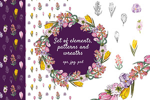 Set of floral elements and wreaths