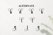 Angela | Script Font, a Handwritten Font by Scratchones (Thumbnail 8 of 9)