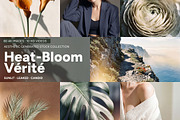Heat-Bloom Stock Photos & Videos, a Holiday Photo by Iconogenic (Thumbnail 1 of 8)