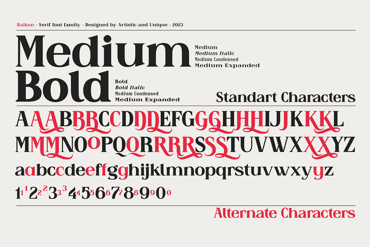 Raiken - Serif font family, a Serif Font by Artistic & Unique (Photo 4 of 14)