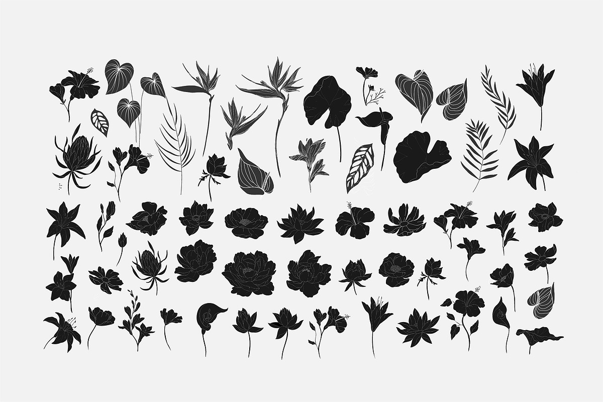 Tropical collection, a Decorative Illustration by Merfin (Photo 10 of 10)