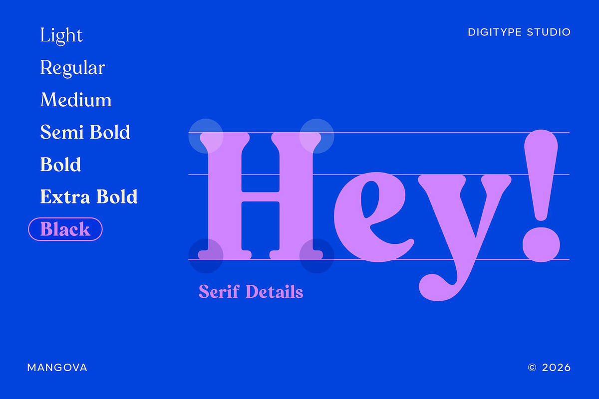 Mangova Font Family, a Serif Font by Digitype Studio (Photo 3 of 10)