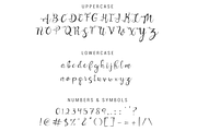 Hajime Script, a Script Font by Brandi Lea Designs (Thumbnail 5 of 6)