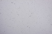 Snowfall textures and overlays, a Nature Photo by pictures for you (Thumbnail 9 of 15)