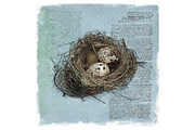 Quail's Nest - Blue Edition, a Decorative Illustration by Digital Art Downloads (Thumbnail 3 of 3)