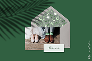 Botanica Watercolor Greenery Leaves, a Decorative Illustration by Momo Studio (Thumbnail 10 of 16)