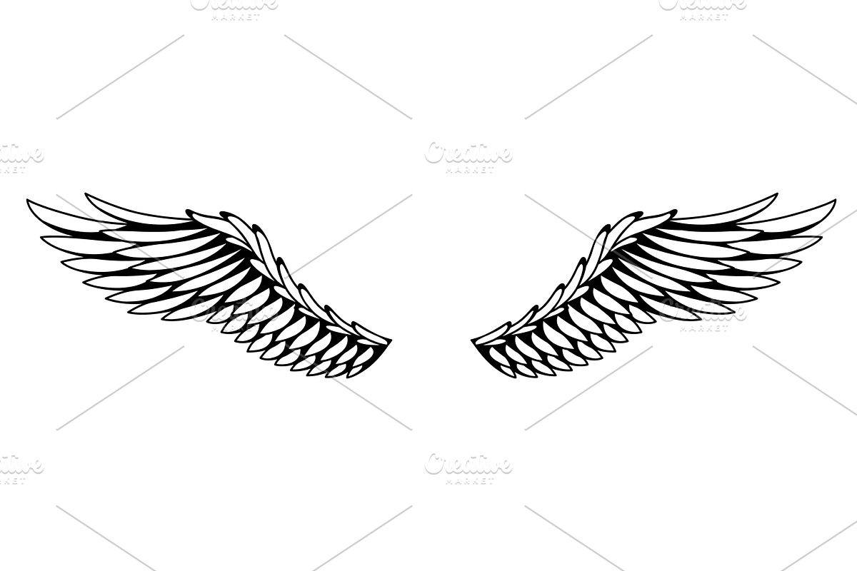 Wings sketch. Stylized birds, an Object Illustration by Things for designers