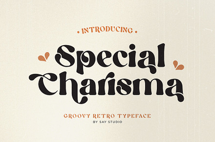 Special Charisma, a Sans Serif Font by Say Studio