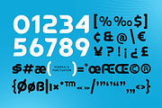 Ranked Professional Technology Font, a Sans Serif Font by TokoPress (Thumbnail 11 of 12)
