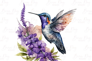 Fairy Hummingbird Floral Clipart