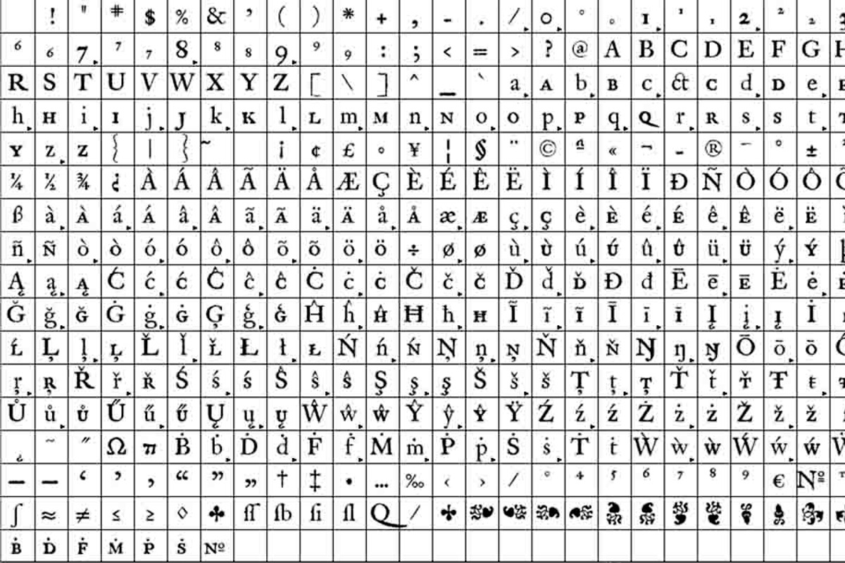 1689 GLC Garamond Pro Set, a Serif Font by GLC Foundry (Photo 2 of 3)