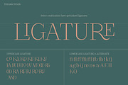 Klimaks | Luxury Serif Family, a Serif Font by Kereatype (Thumbnail 10 of 13)