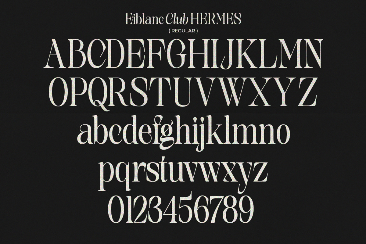 The Eiblanc Club Hermes | 12 Font, a Serif Font by Natural Ink Studio (Photo 15 of 15)