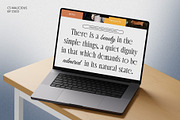 CS Malicious – Elegant Font, a Serif Font by Craft Supply Co. (Thumbnail 2 of 8)